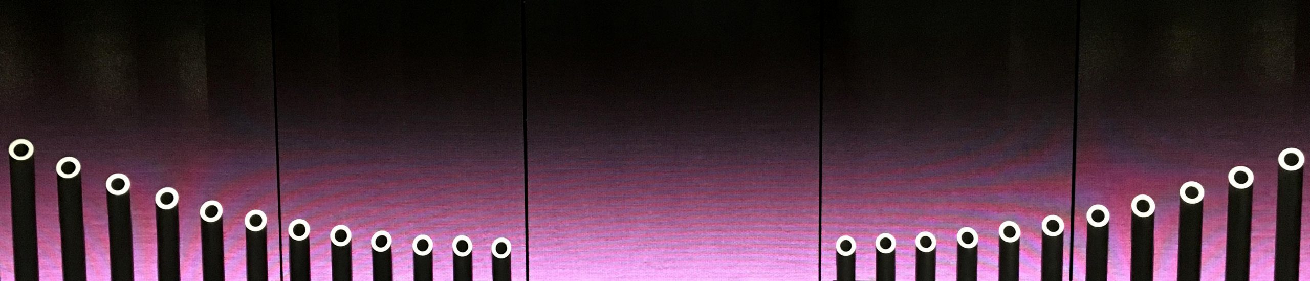 Bottom Photo 1_Musicology 2